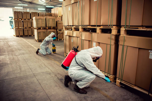 Lakewood, CA Pest Control Company