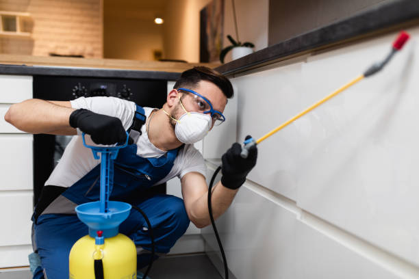 Best Commercial Pest Control Services  in Lakewood, CA