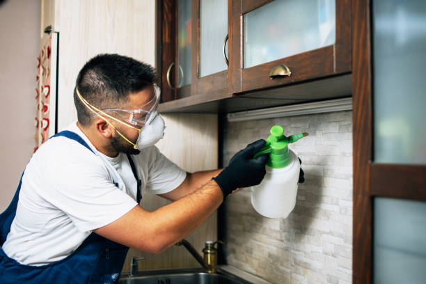 Best Residential Pest Control  in Lakewood, CA