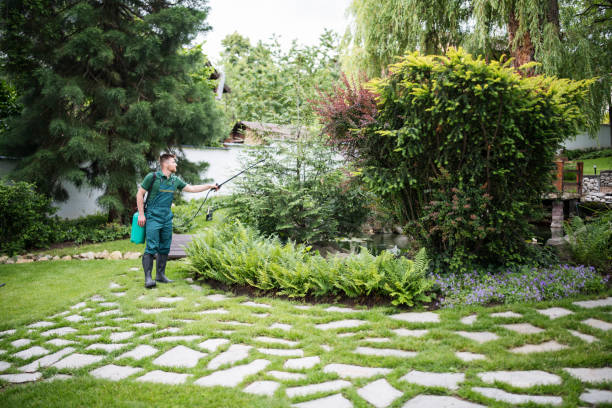 Best Wasp Removal Services  in Lakewood, CA
