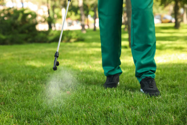 Insect Control in Lakewood, CA