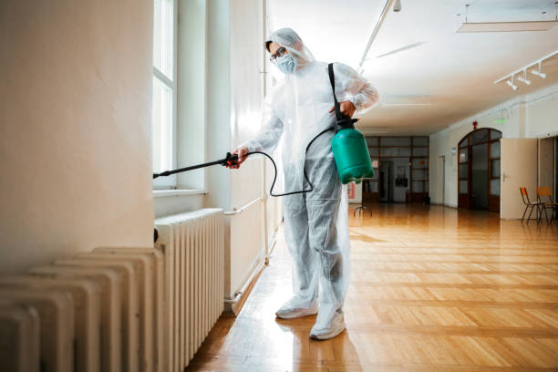 Wasp Removal Services in Lakewood, CA